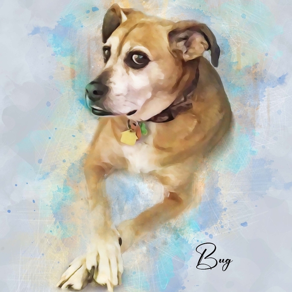 !! GIFTS !! RANDOMNESS GIFTs MARCH2026 - Picture 15 of 15